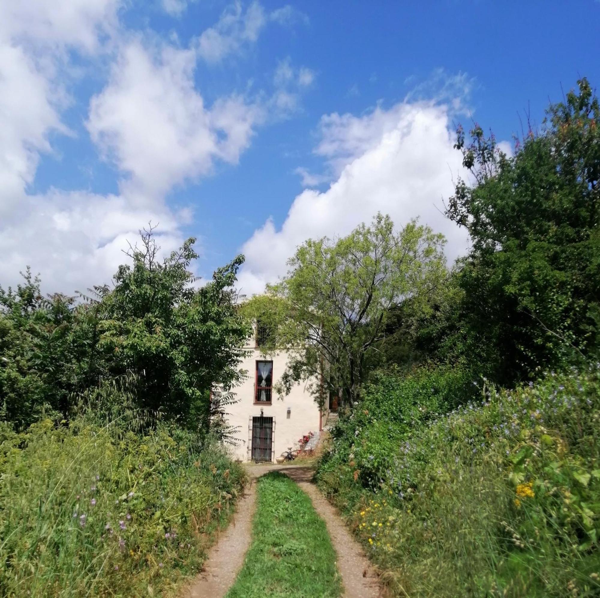 La Peonia Casa Vacanze In Montagna Prato Verde Panorama Stupendo Sardegna Seulo Exterior photo