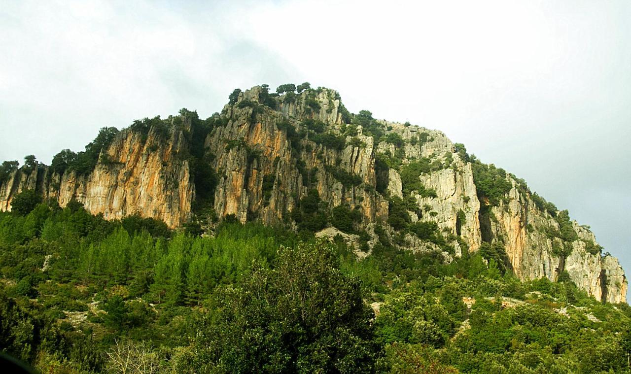 La Peonia Casa Vacanze In Montagna Prato Verde Panorama Stupendo Sardegna Seulo Exterior photo